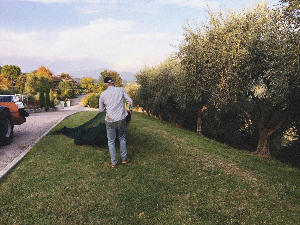 Agriturismo Ca' Cristane Rivoli Veronese Eksteriør bilde