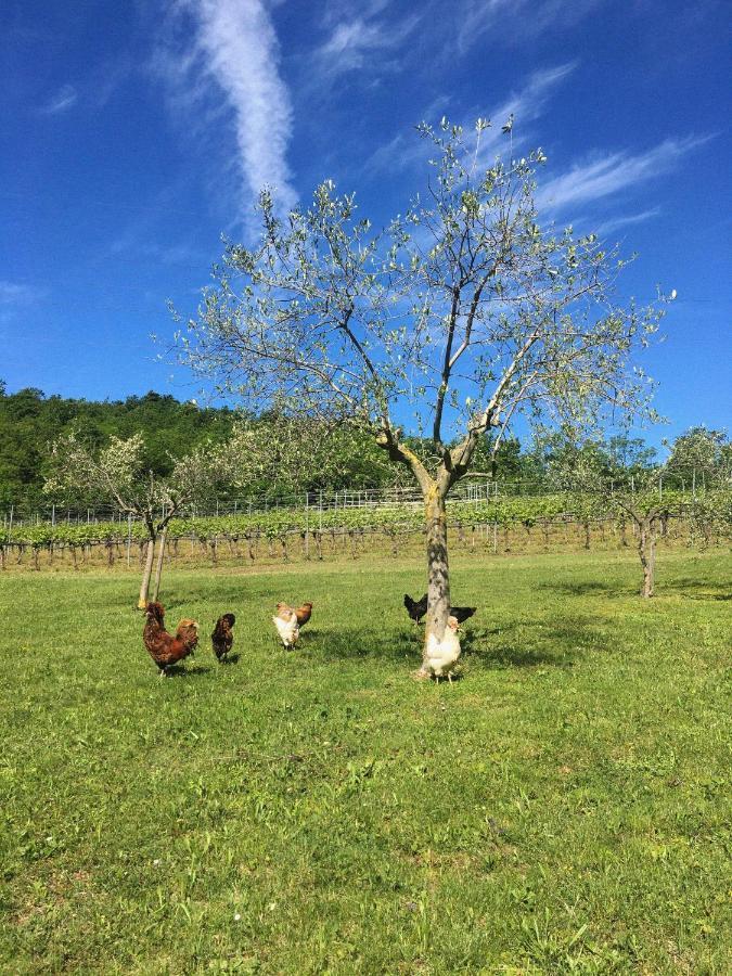 Agriturismo Ca' Cristane Villa Rivoli Veronese Eksteriør bilde