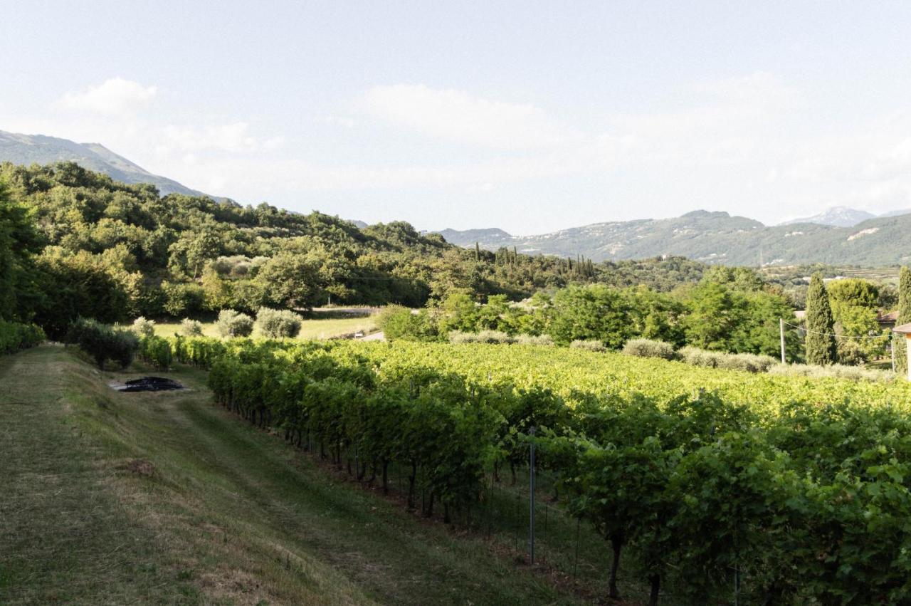 Agriturismo Ca' Cristane Villa Rivoli Veronese Eksteriør bilde