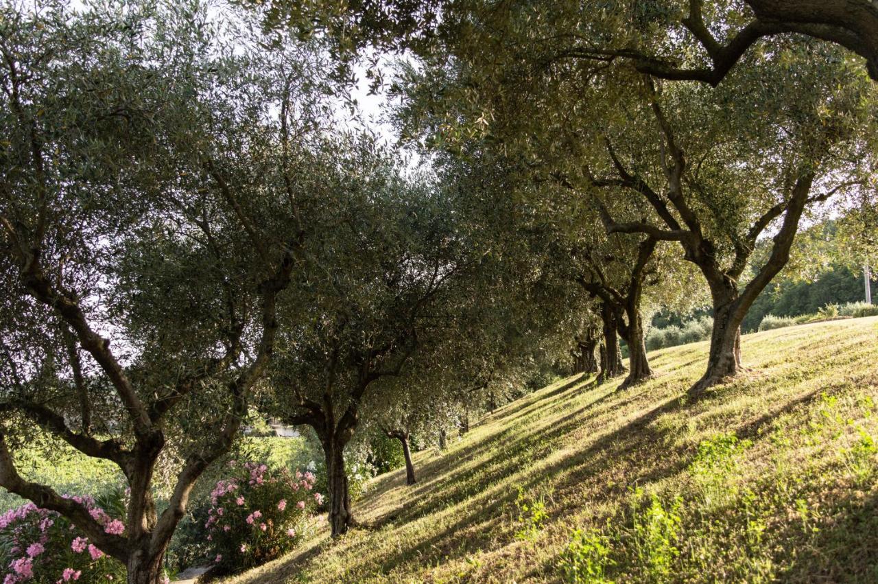 Agriturismo Ca' Cristane Villa Rivoli Veronese Eksteriør bilde