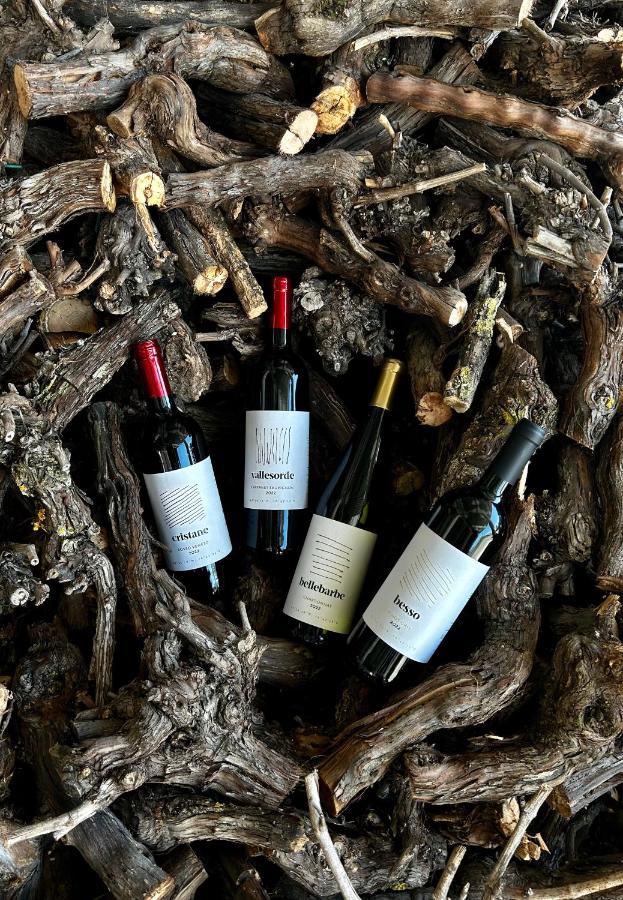 Agriturismo Ca' Cristane Rivoli Veronese Eksteriør bilde
