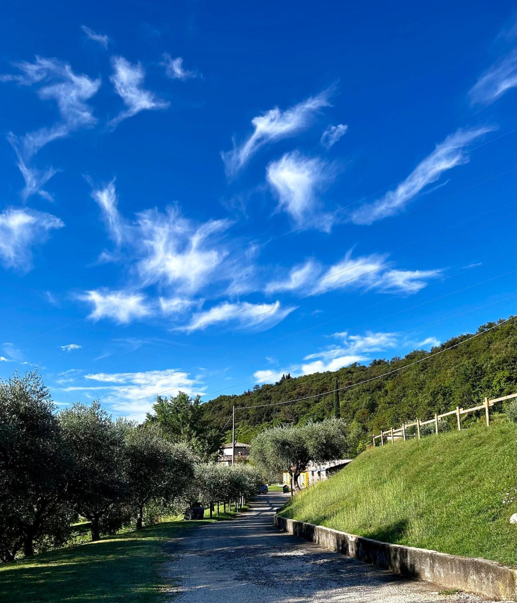 Agriturismo Ca' Cristane Villa Rivoli Veronese Eksteriør bilde