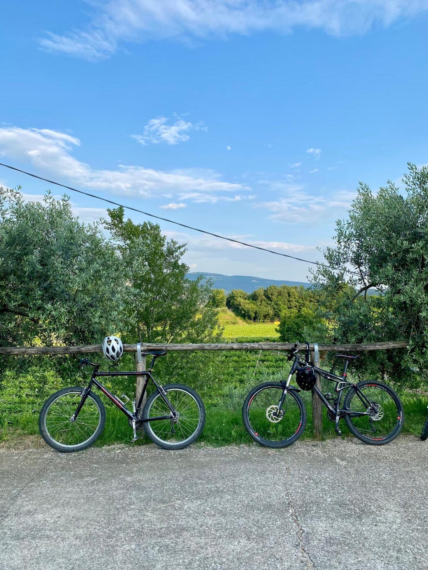 Agriturismo Ca' Cristane Rivoli Veronese Eksteriør bilde
