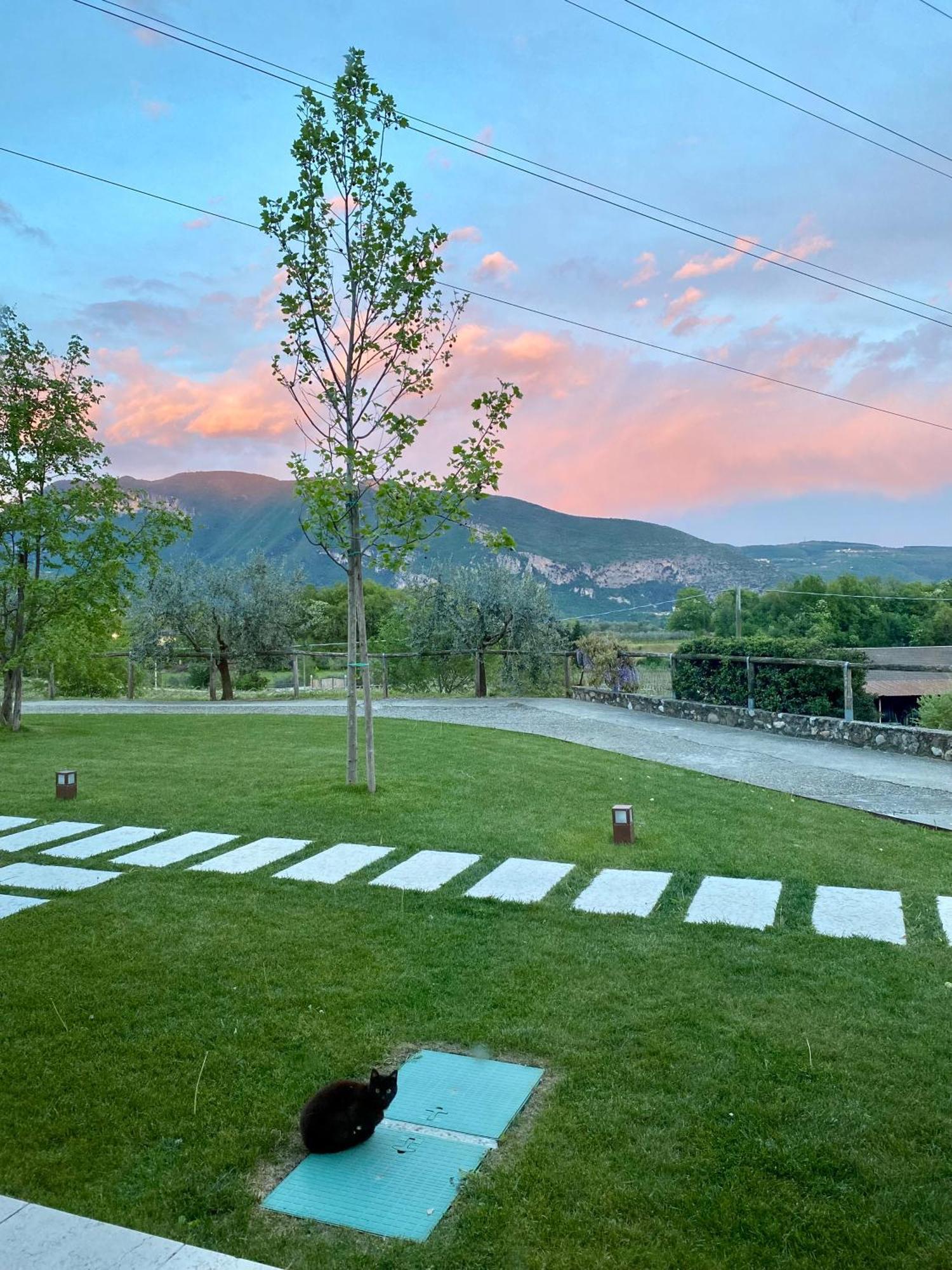 Agriturismo Ca' Cristane Rivoli Veronese Eksteriør bilde